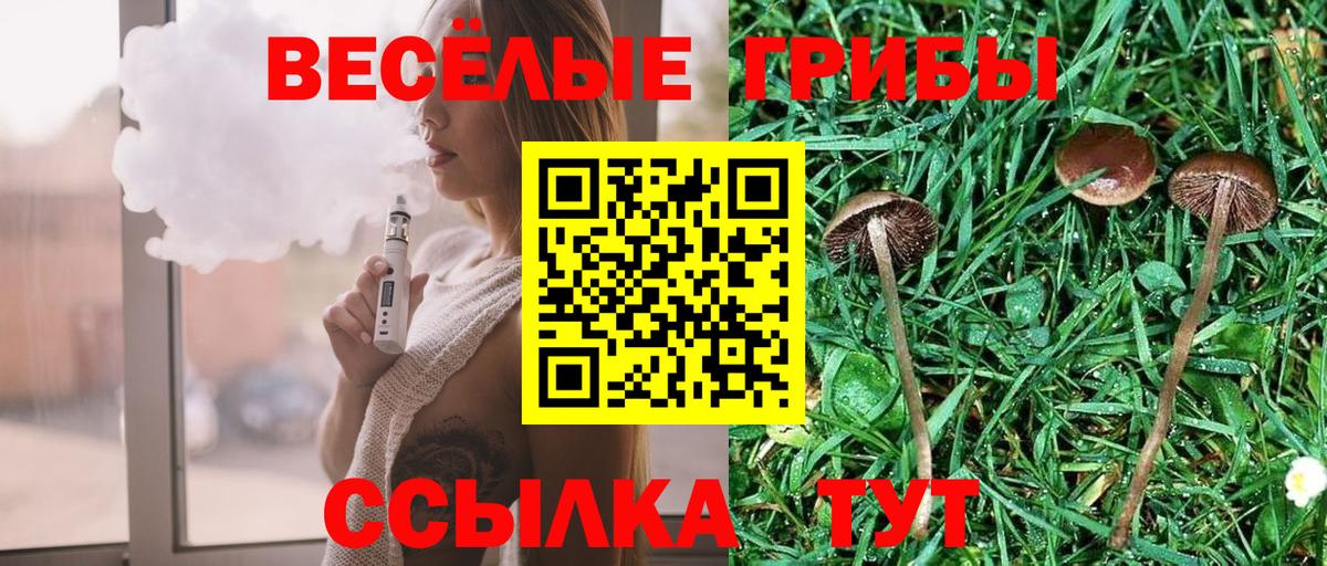 Псилоцибиновые грибы прущие грибы Кузнецк