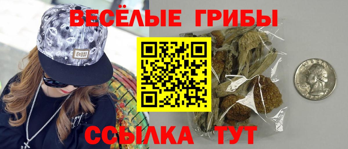 Кузнецк  Галлюциногенные грибы MAGIC MUSHROOMS  Вход с VPN 