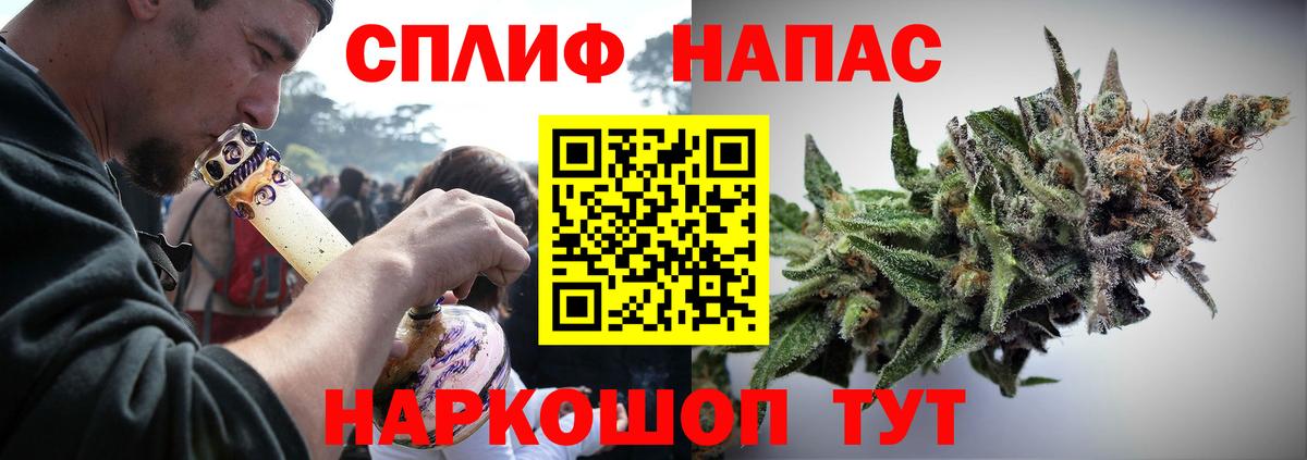 Конопля семена Кузнецк